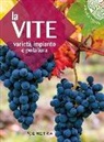La vite. Varietà, impianto e potatura