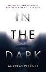 Andreas Pfluger, Andreas Pflüger - In the Dark