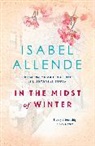 Isabel Allende - In the Midst of Winter