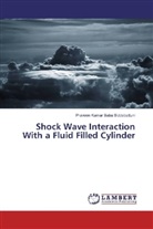 Praveen Kumar Baba Siddabattuni - Shock Wave Interaction With a Fluid Filled Cylinder