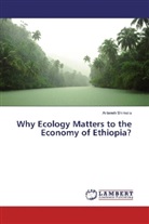 Anteneh Shimelis - Why Ecology Matters to the Economy of Ethiopia?