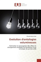 Mouhamadou Gaye - Evolution d'ontologies volumineuses