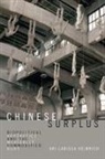 Ari Larissa Heinrich, Ari Larissa/ Halberstam Heinrich - Chinese Surplus