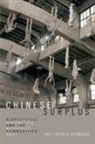 Ari Larissa Heinrich - Chinese Surplus