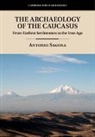 A. G. Sagona, Antonio Sagona, Antonio (University of Melbourne) Sagona, Sagona Antonio - The Archaeology of the Caucasus