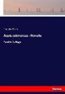 Theodor Storm - Aquis submersus - Novelle