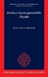 Jean-Yves Chemin, Jean-Yves (Professor Chemin, Chemin Jean-Yves - Perfect Incompressible Fluids