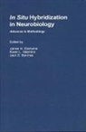 Jack D. Barchas, Jack D. (Associate Dean for Research and Development Barchas, Barchas Jack D., James H. Eberwine, James H. (Departments of Pharmacology and Psychiatry Eberwine, Eberwine James H.... - In Situ Hybridization in Neurobiology