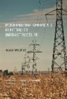 Mason Willrich, Willrich Mason - Modernizing America's Electricity Infrastructure