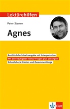 Peter Stamm, Johannes Wahl - Klett Lektürehilfen Peter Stamm, Agnes