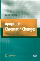 Gaspar Banfalvi - Apoptotic Chromatin Changes