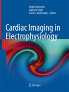 Angelo Auricchio, Frank E Rademakers, Frank E. Rademakers, Jagmee Singh, Jagmeet Singh - Cardiac Imaging in Electrophysiology