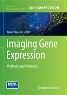 Yaro Shav-Tal, Yaron Shav-Tal - Imaging Gene Expression