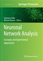 Tommas Fellin, Tommaso Fellin, Halassa, Halassa, Michael Halassa - Neuronal Network Analysis