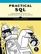 Anthony Debarros - Practical SQL