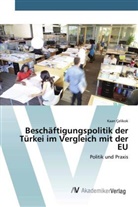 Kaan Çelikok - Beschäftigungspolitik der Türkei im Vergleich mit der EU