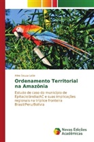 Aline Souza Leite - Ordenamento Territorial na Amazônia
