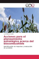 Luiz Roberto Calado - Acciones para el planeamiento estratégico acerca del biocombustible