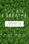Louie Giglio - The Air I Breathe