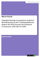 Marvin Strauch - Charakterisierung von putativen cis-aktiven RNA-Elementen in der 5'-nichttranslatierten Region des RNA-Genoms des Humanen Coronavirus 229E (HCoV-229E)