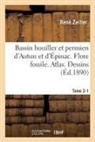 René Zeiller, Zeiller-R - Bassin houiller et permien d