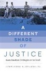 Stephanie Hinnershitz - A Different Shade of Justice