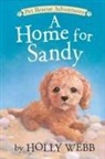 Holly Webb, Sophy Williams, Sophy Williams - A Home for Sandy