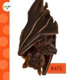 Wendy Strobel Dieker - Bats