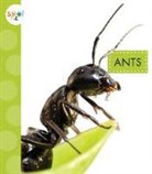 Nessa Black - ANTS