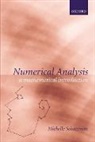 M. Schatzman, Michelle Schatzman, Schatzman Michelle, John Taylor - Numerical Analysis