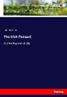 Anonym, Anonymous - The Irish Peasant