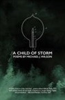 Michael J. Wilson, MR Michael J Wilson - A Child of Storm