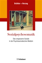 Elmar Brähler, Wolfgang Herzog - Sozialpsychosomatik