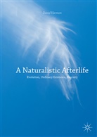 David Harmon - A Naturalistic Afterlife