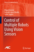 Migue Aranda, Miguel Aranda, Gonzal López-Nicolás, Gonzalo López-Nicolás, Carl Sagüés, Carlos Sagüés - Control of Multiple Robots Using Vision Sensors