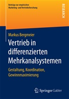 Markus Bergmeier - Vertrieb in differenzierten Mehrkanalsystemen