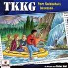 Stefan Wolf - Ein Fall für TKKG - Vom Goldschatz besessen, 1 Audio-CD (Audio book)