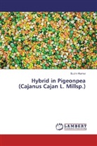 Sudhir Kumar - Hybrid in Pigeonpea (Cajanus Cajan L. Millsp.)