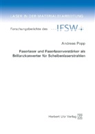 Andreas Popp - Laser in der Materialbearbeitung - 85: Faserlaser und Faserlaserverstärker als Brillanzkonverter für Scheibenlaserstrahlen