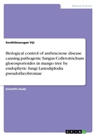 Senthilmurugan Viji - Biological control of anthracnose disease causing pathogenic fungus Colletotrichum gloeosporioides in mango tree by endophytic fungi Lasiodiplodia pseudotheobromae