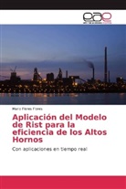 Mario Flores Flores - Aplicación del Modelo de Rist para la eficiencia de los Altos Hornos