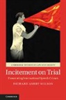 Richard Wilson, Richard Ashby Wilson - Incitement on Trial