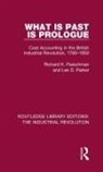 Richard K Fleischman, Richard K. Fleischman, Richard K. Parker Fleischman, Lee Parker, Lee D Parker, Lee D. Parker - What Is Past Is Prologue