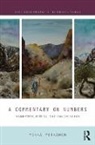 Pekka Pitkanen, Pekka Pitkänen - Commentary on Numbers