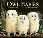 Martin Waddell - Owl Babies
