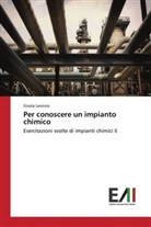 Grazia Leonzio - Per conoscere un impianto chimico