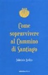 Fabrizio Ardito - Come sopravvivere al cammino di Santiago