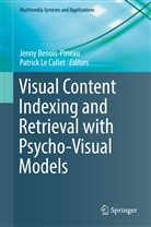Jenn Benois-Pineau, Jenny Benois-Pineau, Patrick le Callet, Le Callet, Le Callet, Patrick Le Callet - Visual Content Indexing and Retrieval with Psycho-Visual Models