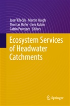 Marti Haigh, Martin Haigh, Thomas Hofer, Thomas Hofer et al, Josef K¿e¿ek, Josef Krecek... - Ecosystem Services of Headwater Catchments