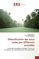 Amir Boucheleghem, Amira Boucheleghem, Marwa Bouregaa, Nedjou Grara, Nedjoud Grara - Détoxification des eaux usées par différents procédés